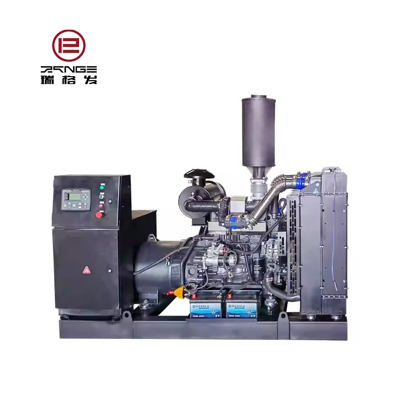 Diesel Generator For Ricardo